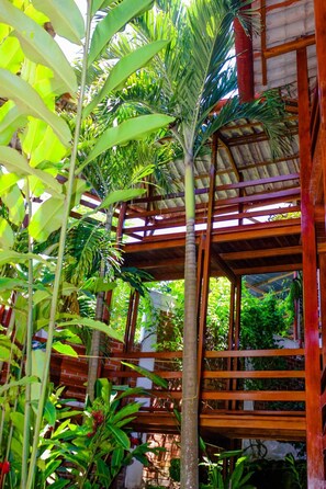 Property grounds - Hotel Rio Huallaga (Yurimaguas)