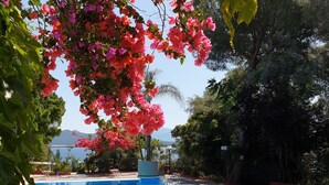 Una piscina rodeada de exuberante follaje y flores rosadas.