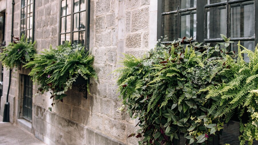 Maison Sainte-Thérèse