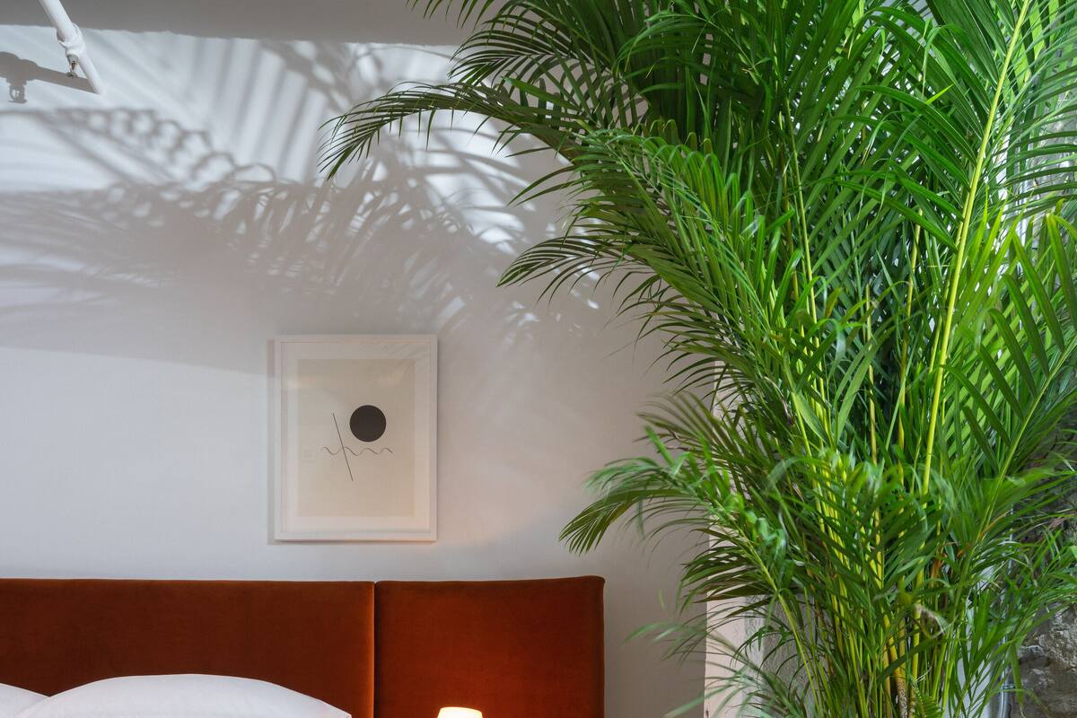 A hotel room with a bed, a nightstand with a lamp, a potted plant, and a wooden chair.