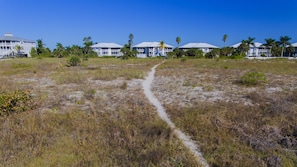 A pathway leading to a beachfront property with multiple buildings, some with balconies and palm trees.