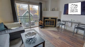 TV, fireplace, music library, video library