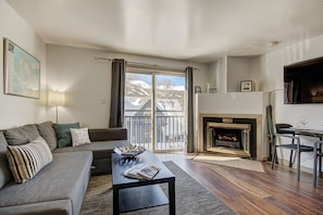 TV, fireplace, music library, video library