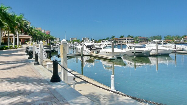 A marina with boats docked, a paved walkway, and palm trees.