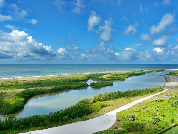 Condo, Multiple Beds (South Seas Tower 3-1801) | Beach