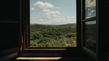 Apartment, 1 Bedroom, Valley View | Balcony view