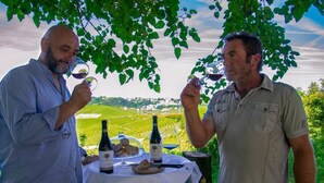 Dos hombres degustando vino al aire libre, con un viñedo de fondo.