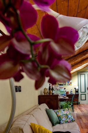 Una habitación con techo de madera, un sofá con cojines estampados, una mesita con varios objetos y una planta.