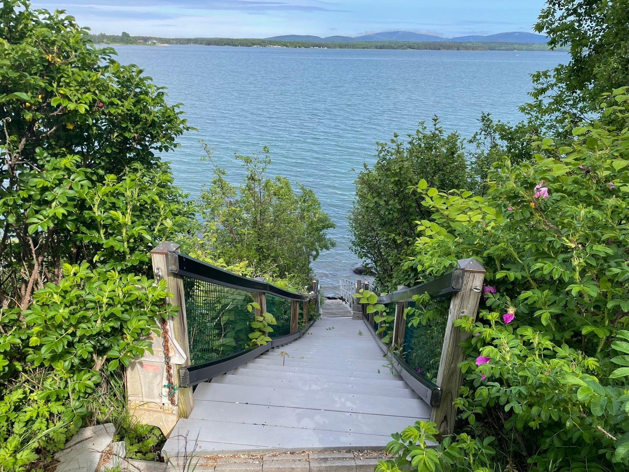 Shorefront, spacious,fireplace,beach BEAUTIFUL Views of MDI and Acadia