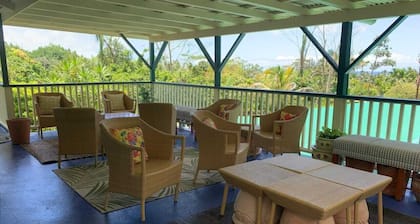 Trooppinen koti paratiisissa 1 hehtaarin pihalla<br>Alemmalla tasolla vain tonnia basrria