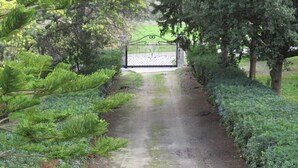A pathway leading to a gated entrance surrounded by lush greenery and trees.