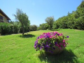 Property grounds - Il Rifugio della Pace (1st Floor)WI-FI- Hot Tub (Cagliari)