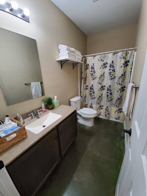 Ein Badezimmer mit Waschbecken, Spiegel, Toilette und Duschvorhang.