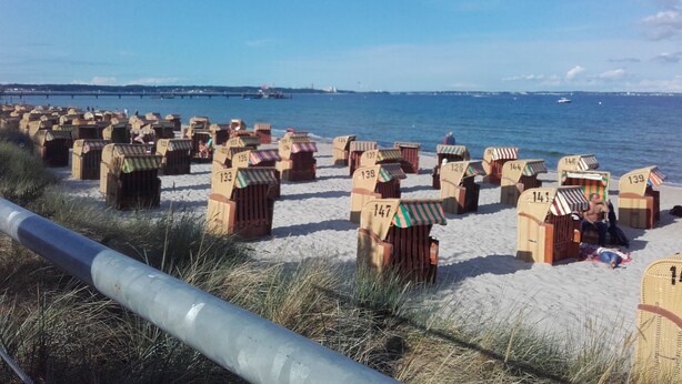 A beach with numerous numbered beach huts lined up along the shore. - Idyllic holiday home on the forest and lake in Klingberg (Klingberg)