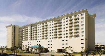 Beach Front Resort, Emerald water, White Sand. Great Amenities, Equipped Kitchen