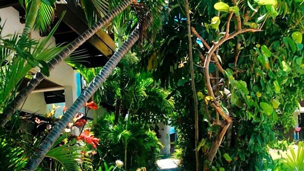 A narrow pathway flanked by lush greenery and a building with a white facade. - Cozy one-bedroom & mezzanine apartment (Philipsburg)