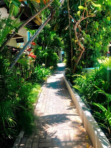 Cozy one-bedroom & mezzanine apartment