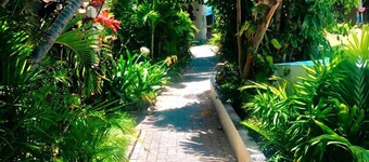 Cozy one-bedroom & mezzanine apartment