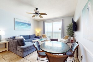 TV, DVD player, books, video library