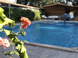 Piscine extérieure en saison, chaises longues