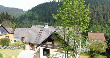 Apartment Iris - Brigitte's apartments Harz