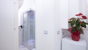 Shower, jetted tub, hair dryer, bidet