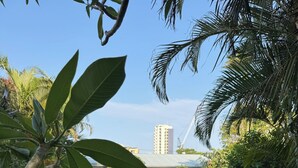 A swimming pool surrounded by lush greenery, with a view of a building and a crane in the background. - The Miami Beach vacation home (Miami)