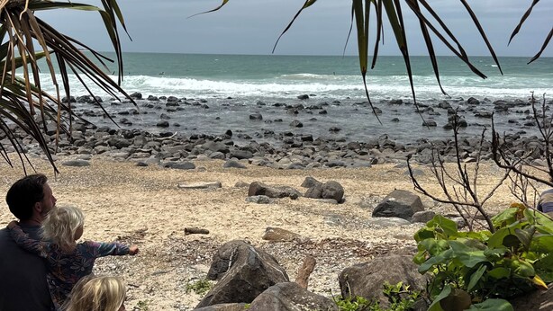 A rocky beach with a view of the ocean. - The Miami Beach vacation home (Miami)