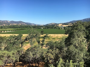 Exterior - Bramasole (Hopland)
