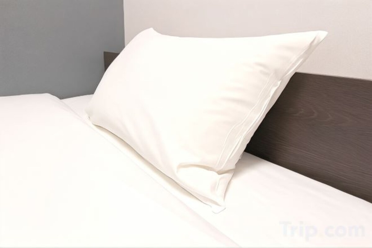 Desk, blackout drapes, WiFi (free), bed sheets