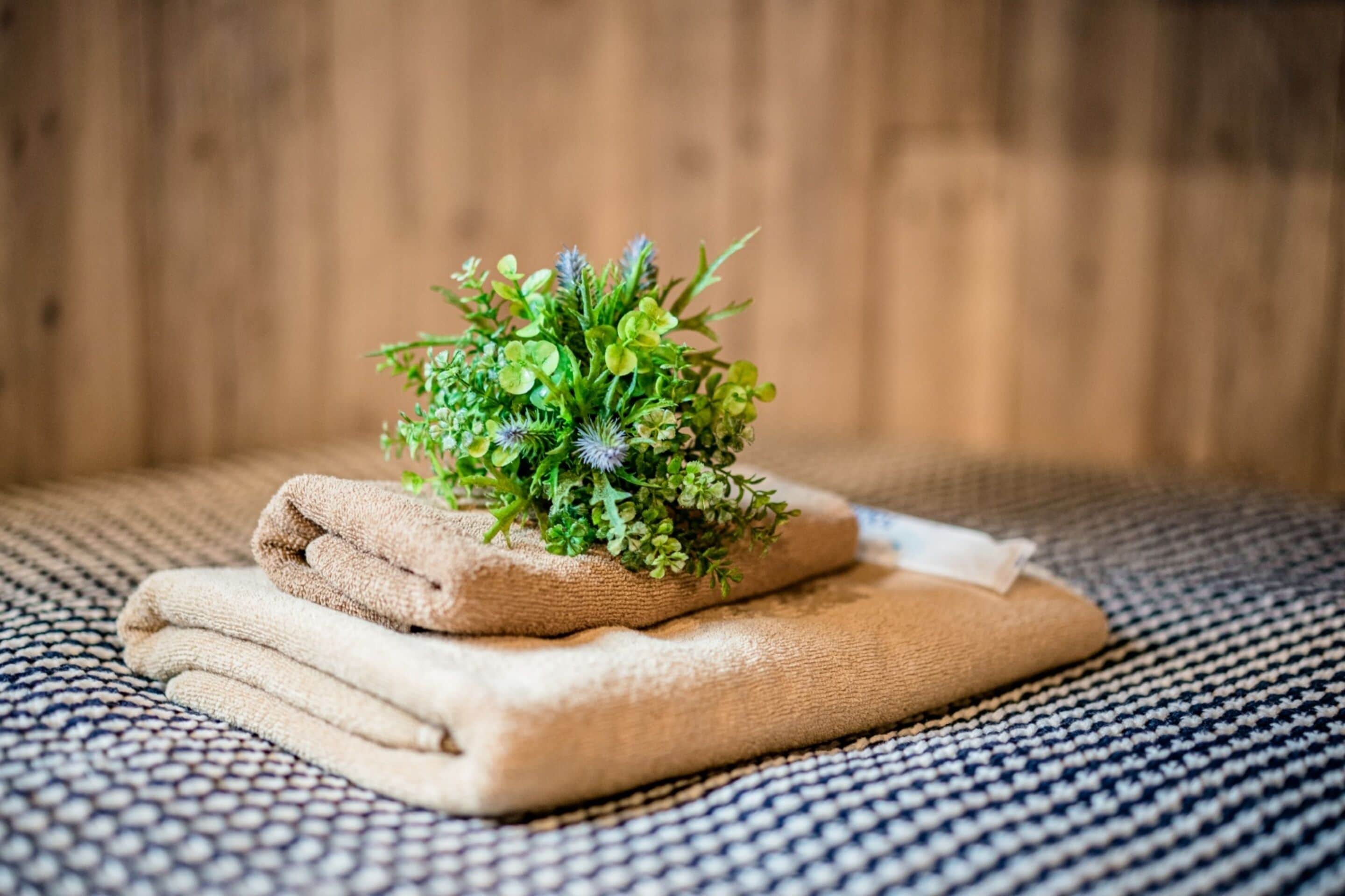 Combined shower/tub, free toiletries, hair dryer, slippers