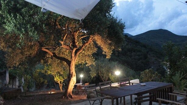An outdoor patio area with stone flooring, wooden furniture, and a large tree providing shade. - PioppiHouse Casa Vacanza.  Large independent suite with small terrace overlooking the sea (Acciaroli)