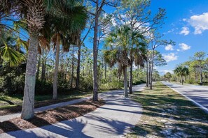 A paved pathway lined with tall trees and a clear blue sky. - BIRD WATCHER IS PARADISE FOR A NATURE LOVER!! (St. George Island)