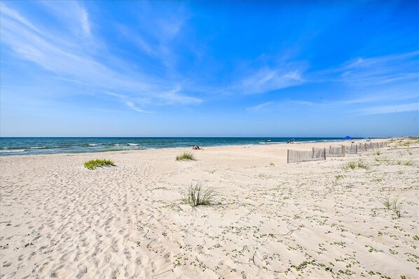 On the beach