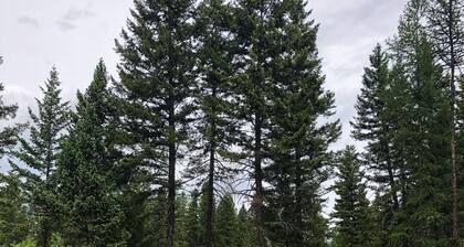 Authentischer Schäferwagen, der in der Nähe von Wildnisgebieten in Kootenai NFS kampiert