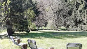 A grassy outdoor area with three metal chairs and wooden stumps, surrounded by trees.