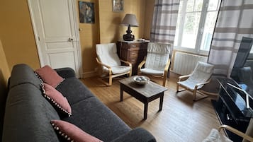 TV, fireplace, books