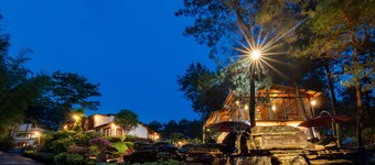 PINE TREES CLOUD VILLA