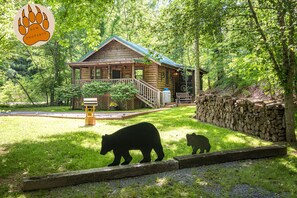 Exterior - Cozy Bear, Free Attraction Tickets, Hot Tub, WIFI, Fireplace!!! (Sevierville)
