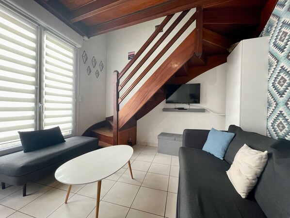 Televisión y libros 