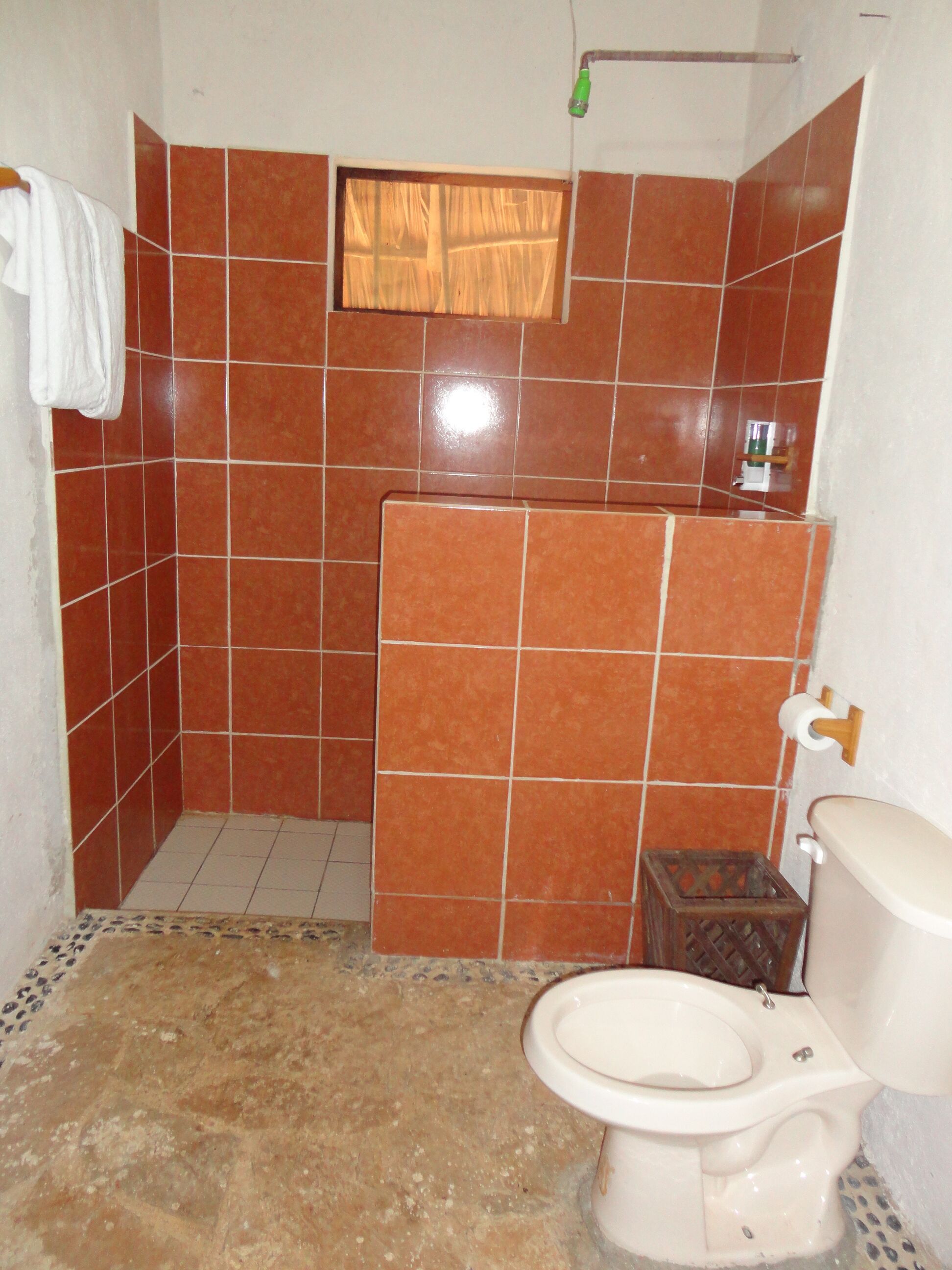 Basic Room | Bathroom | Shower, towels, soap, shampoo