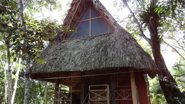 A thatched-roof hut with a wooden structure, surrounded by trees. - Santuario Zona Lacandona (Ocosingo)