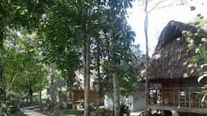 A rustic lodge with thatched-roof cabins, surrounded by dense foliage and a stone pathway. - Santuario Zona Lacandona (Ocosingo)