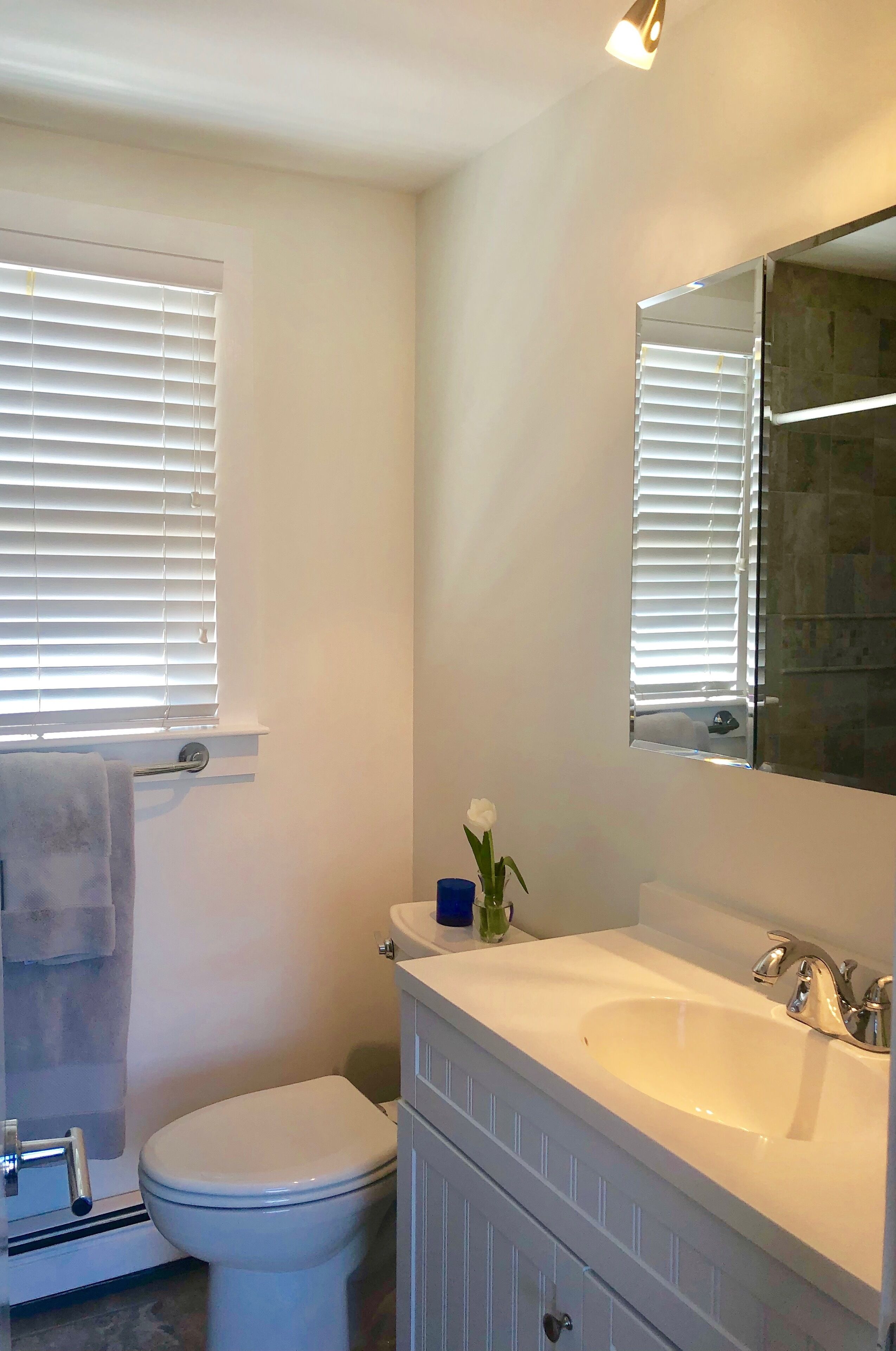 Une salle de bain équipée de toilettes, d’un lavabo, d’un miroir et d’une fenêtre avec des stores.