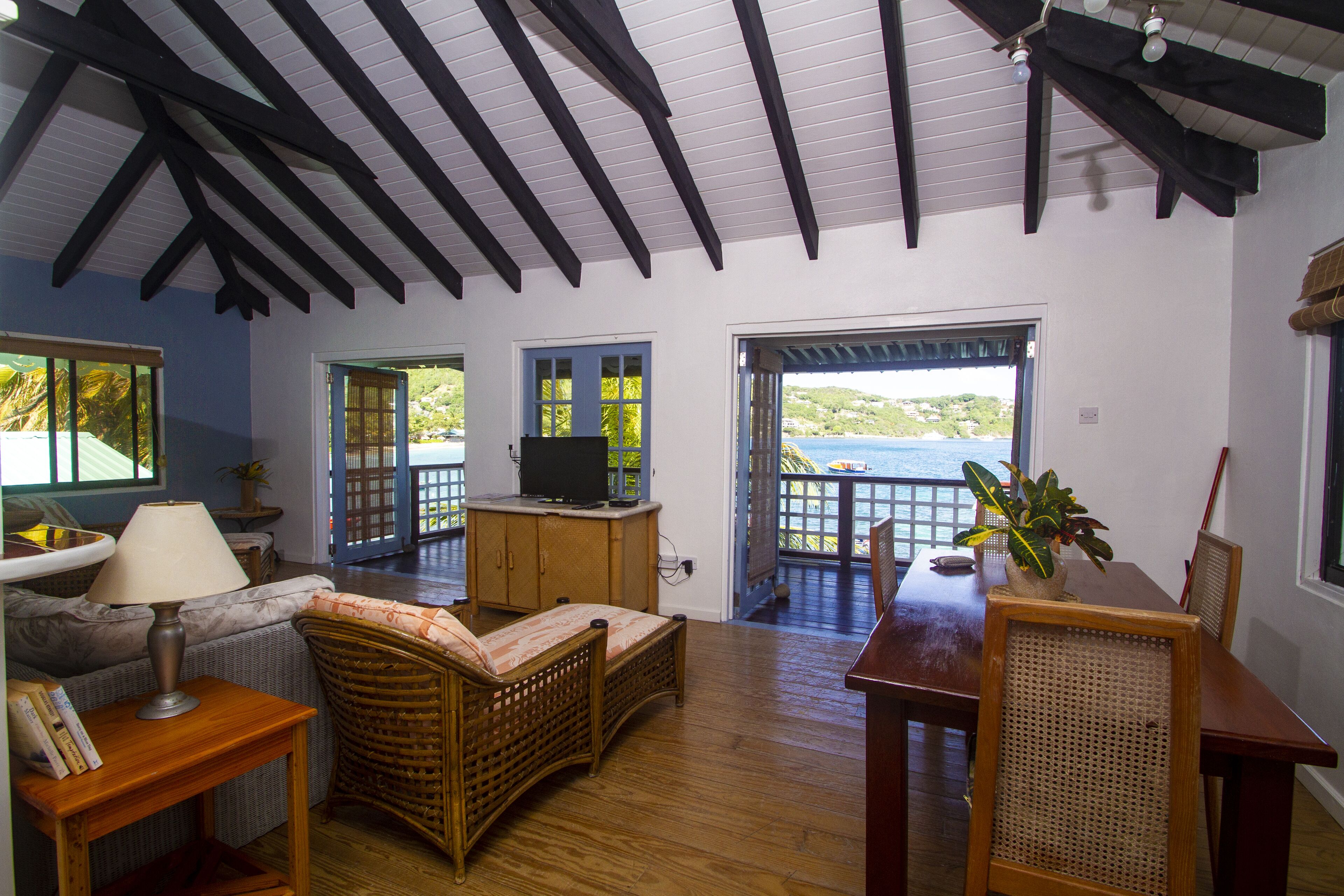 Una televisión, libros