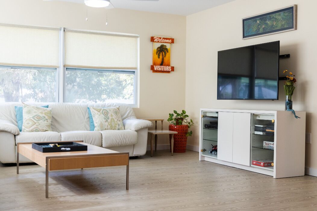 TV connectée, lecteur de DVD, livres, vidéothèque