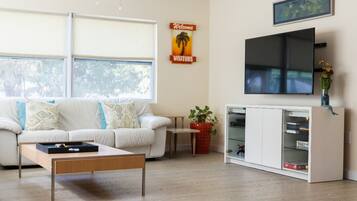 TV connectée, lecteur de DVD, livres, vidéothèque