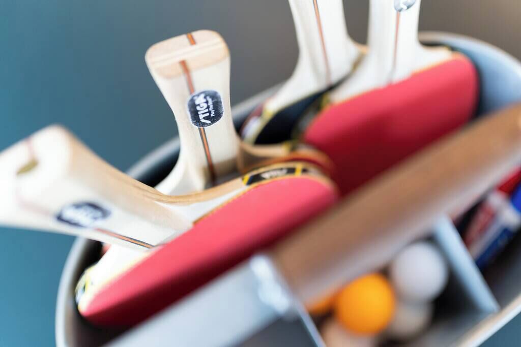 Everything you need for a heated game of ping pong is ready for you.