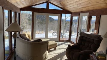 TV connectée, cheminée, lecteur de DVD, livres