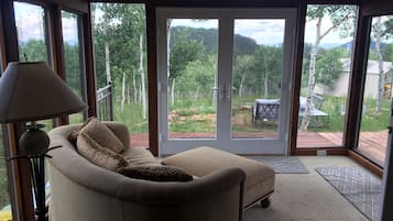 Smart TV, chimenea, reproductor de DVD y libros